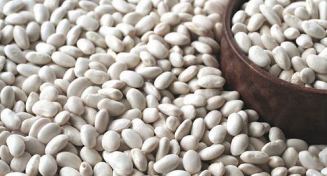 White Beans, Bafra Kuru Fasulye, Kıbrıs Kuru Fasulye