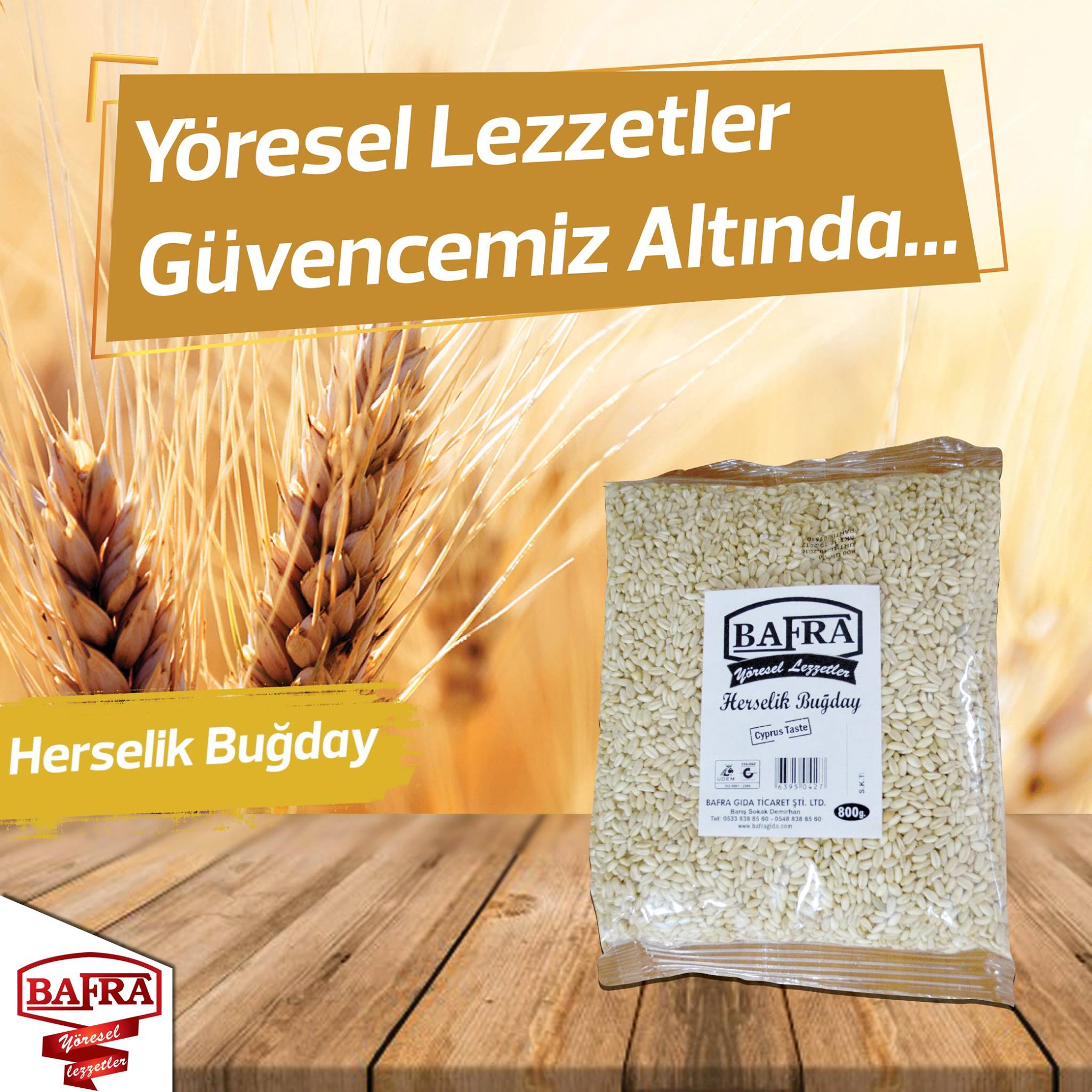 Wheat for Herse, herse/helise, Bafra Herselik Buğday, Kıbrıs Herselik Buğday